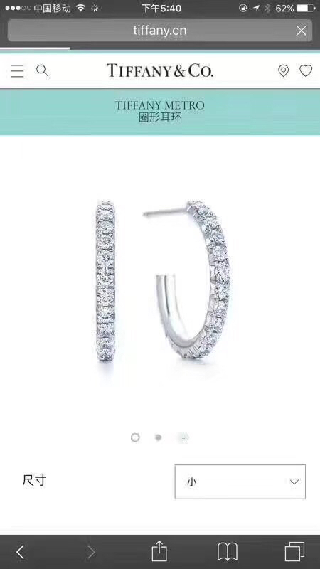Tiffany earring 04lyx65